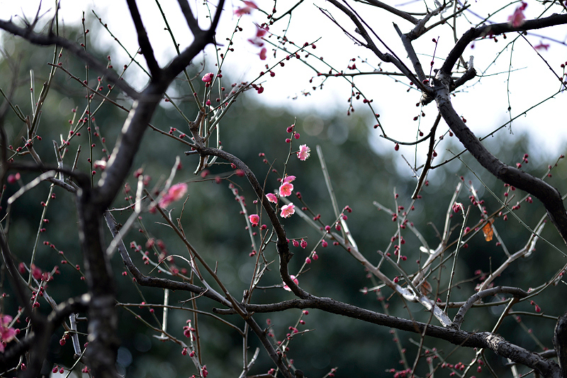image0200