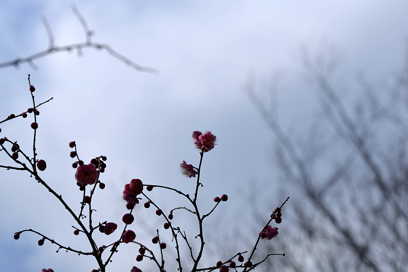 image0202