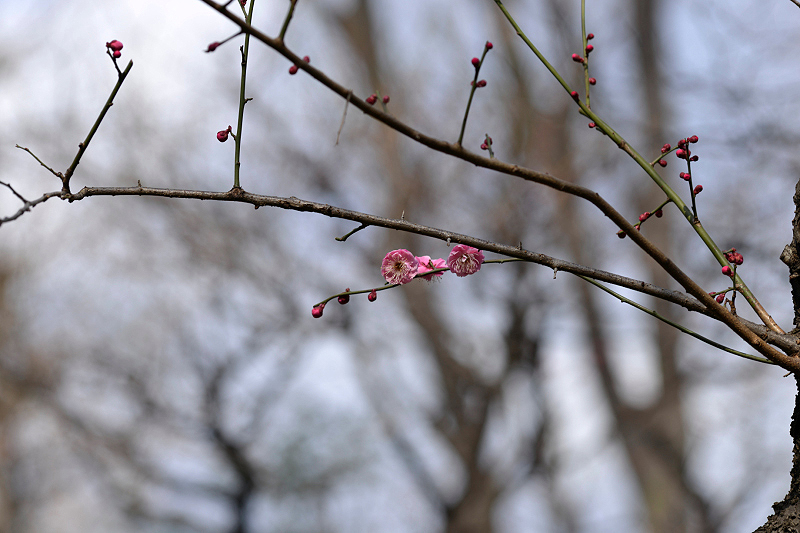 image0203