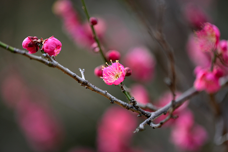 image0205