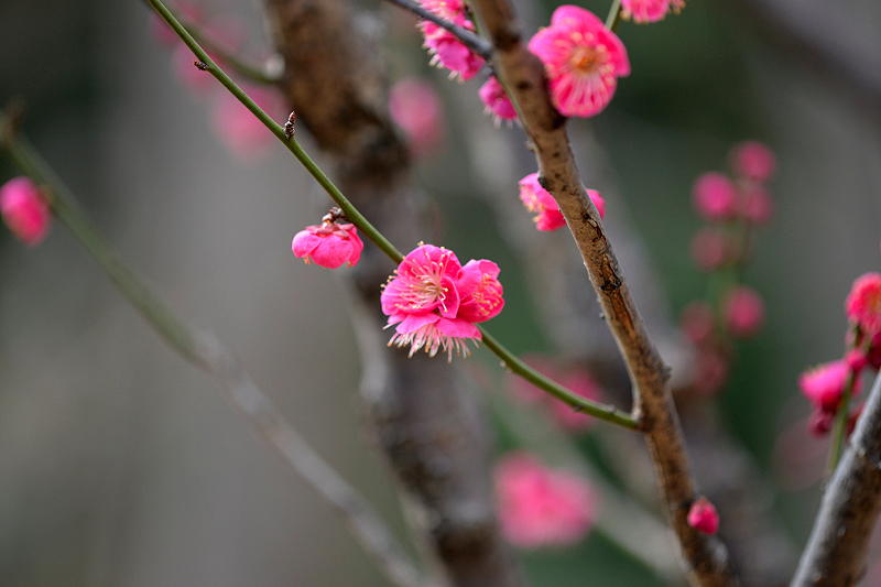 image0208