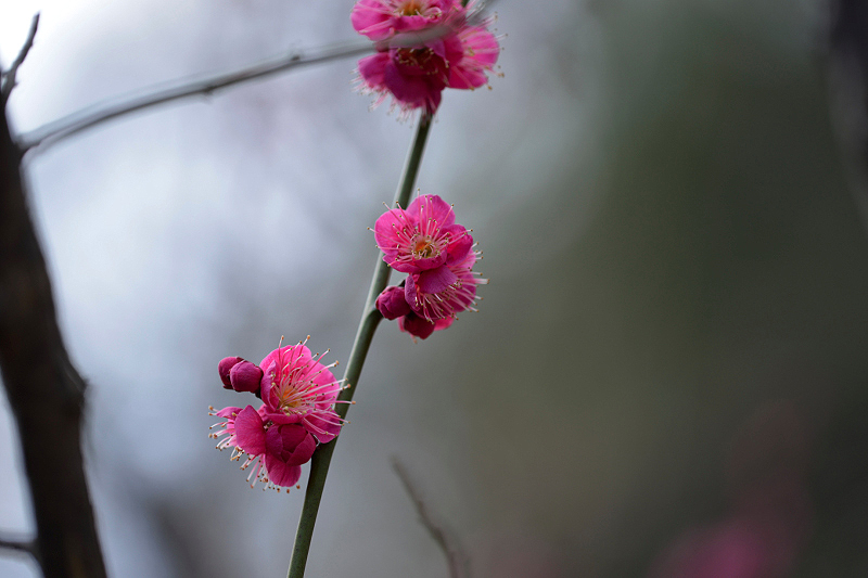 image0211