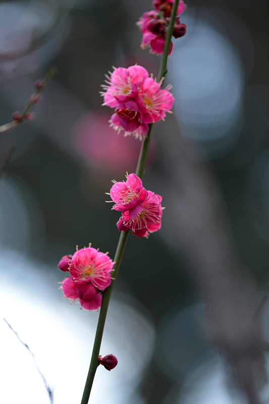 image0214