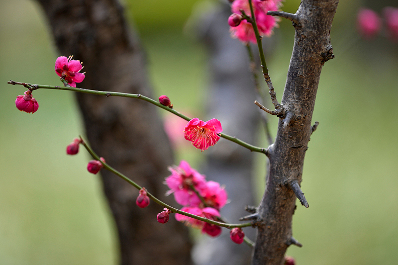 image0215