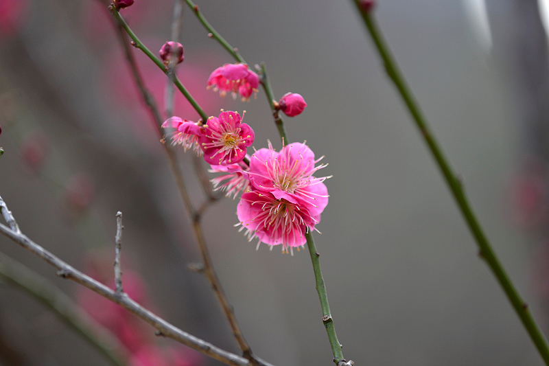 image0216