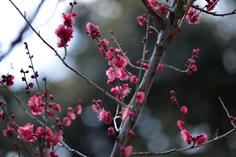 image0218