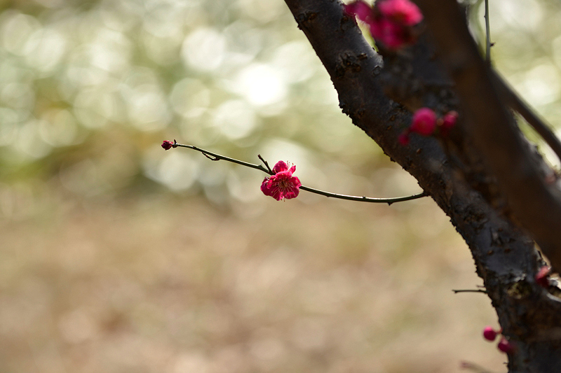 image0220