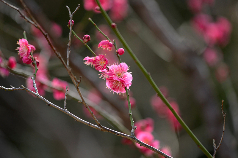 image0221