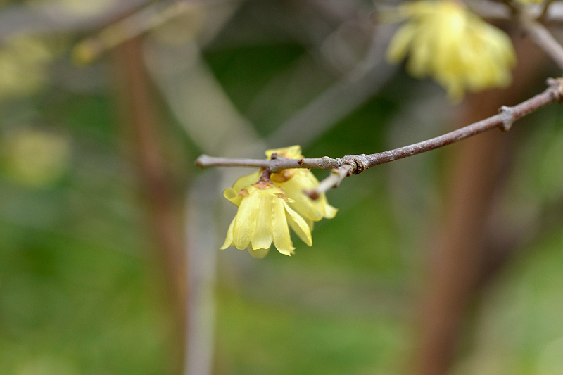 image0222