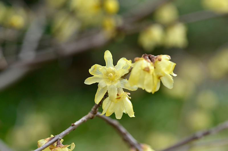 image0224