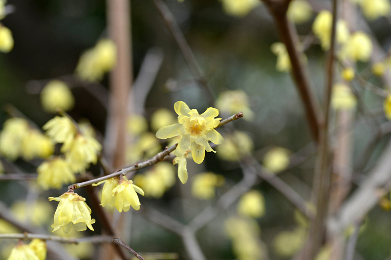 image0227
