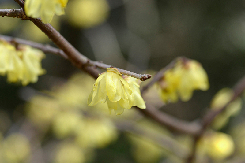 image0228