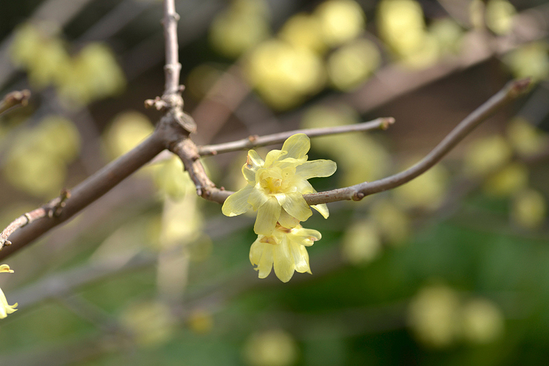 image0229