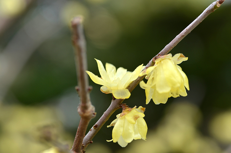 image0230