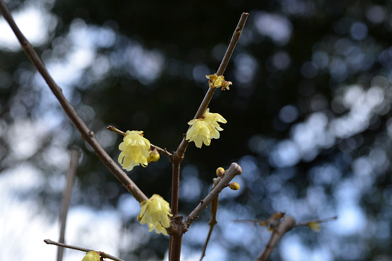 image0233