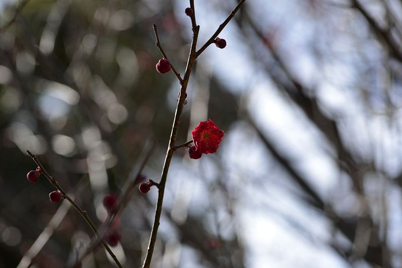 image0234
