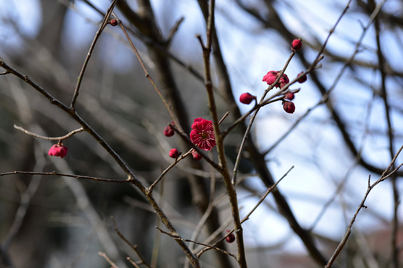 image0235