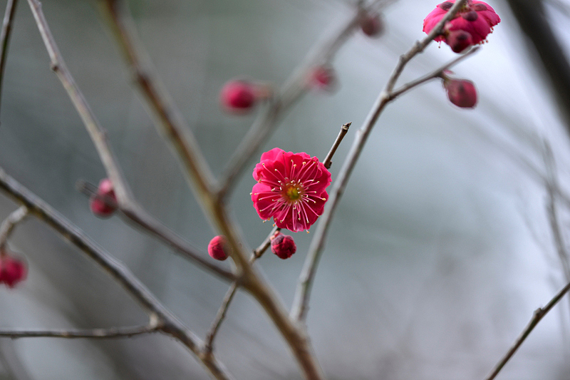 image0237