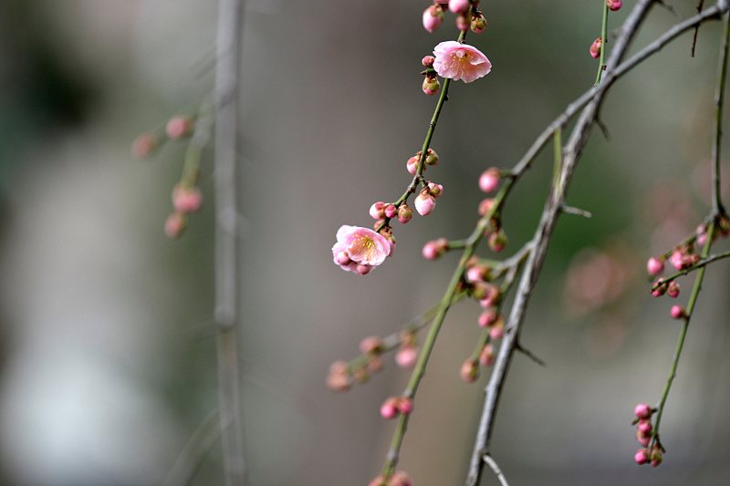 image0238