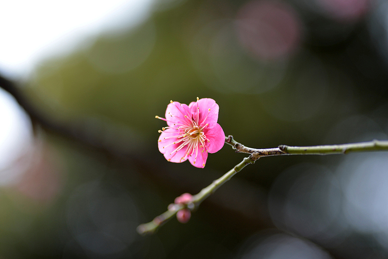 image0242