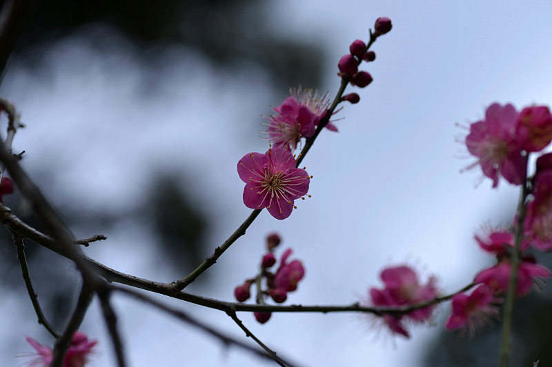 image0243