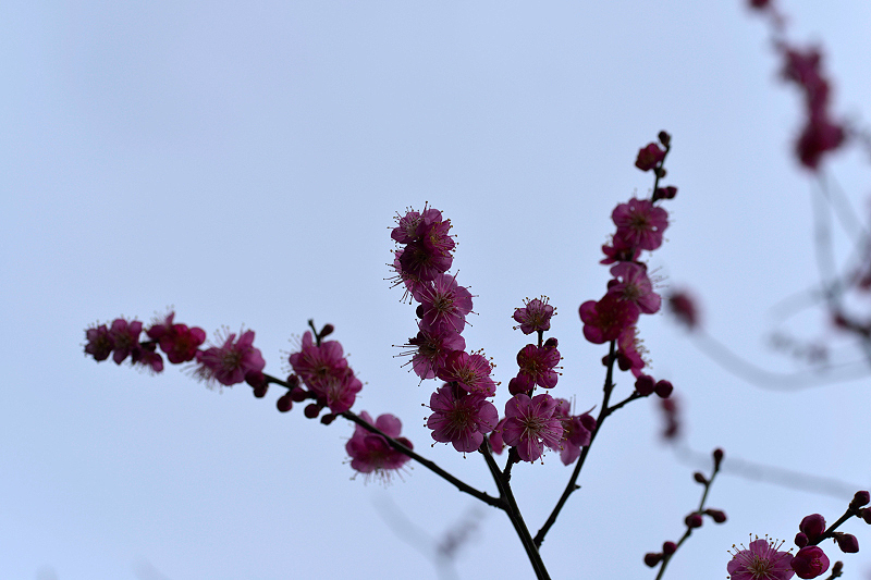 image0245