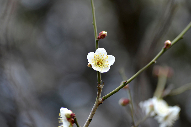 image0251
