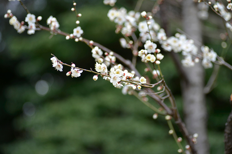 image0254
