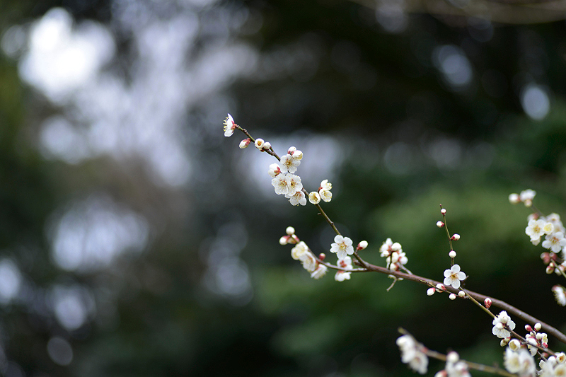 image0255
