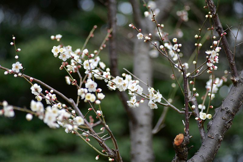 image0256