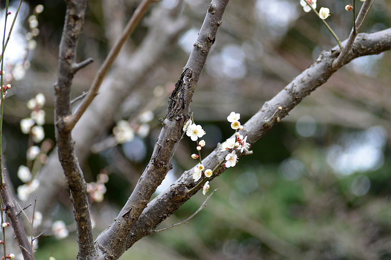 image0258