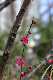 image0133
