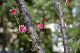image0135
