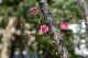 image0136