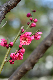 image0137
