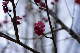 image0139