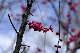 image0140