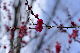 image0142