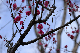 image0147