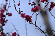 image0152