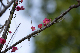 image0155