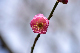 image0156