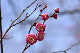 image0159