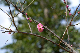 image0162