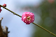 image0163