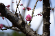 image0167