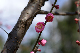 image0168