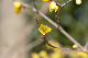 image0173