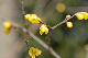 image0174