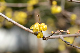 image0177